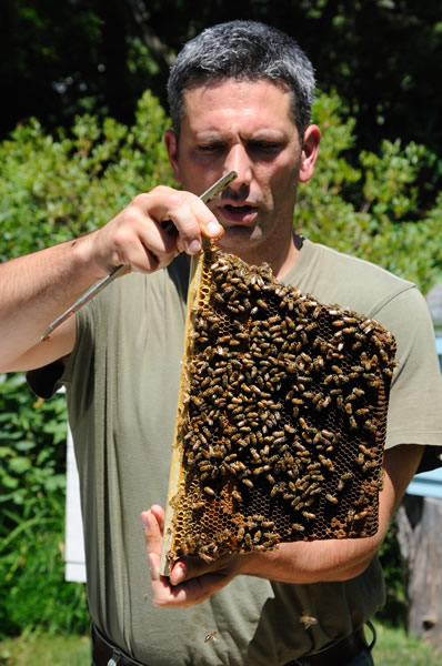 Andrew Coté with some bees